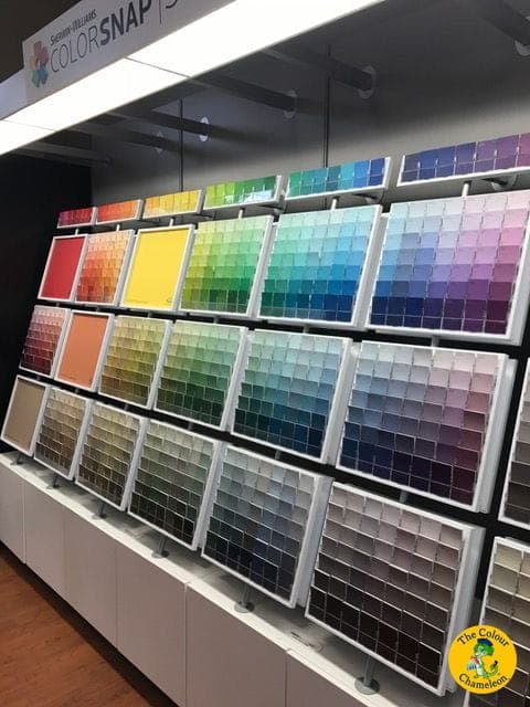 A paint store's color wall — hundreds of paint chips arranged row after row